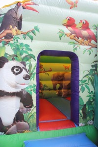 Jungle Bounce n' Slide