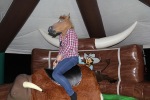 Rodeo Bull