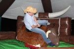 Rodeo Bull