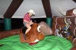 Rodeo Bull