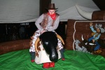 Rodeo Bull