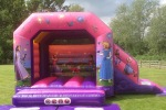 Princess Bouncy Castle and Slide