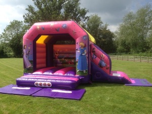 Princess Bouncy Castle and Slide