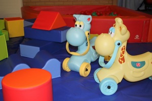 Wild Rides