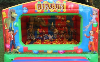 Circus Ball Pool