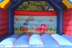 Oceans Adult Bouncy Castle