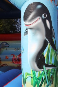 Oceans Adult Bouncy Castle