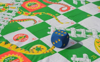 Giant Snakes and Ladders