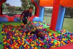 Adult Ball Pool