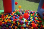 Adult Ball Pool