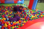 Adult Ball Pool